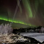 Bnr Lofoten Lyngværet