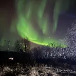 Bnr Lofoten