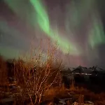 Bnr Lofoten *