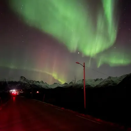 Bnr Lofoten *