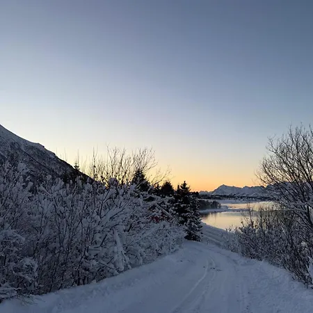 Bnr Lofoten Lägenhet Lyngværet
