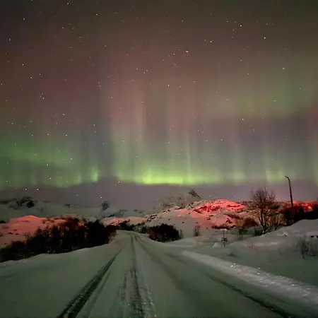 Bnr Lofoten