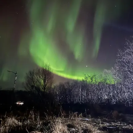 Bnr Lofoten