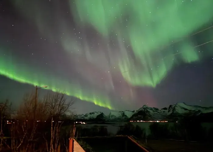 Lägenhet Bnr Apartment Lofoten *