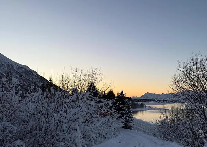 Bnr Apartment Lofoten Lägenhet Lyngværet