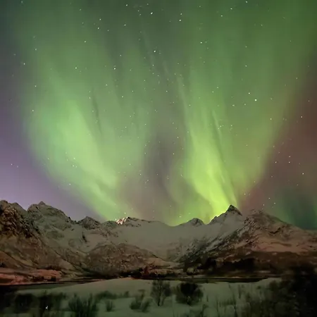 Bnr Lofoten Lyngværet