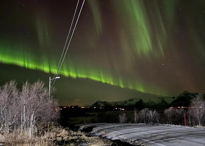 Bnr Lofoten Lyngværet